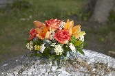 Orange Posy